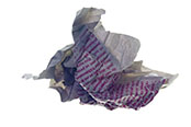 Jocelyne Thibault_maquette livre